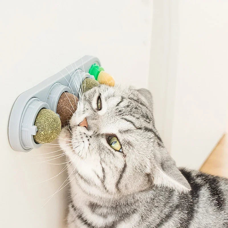 Catnip and silver vine wall ball for cats