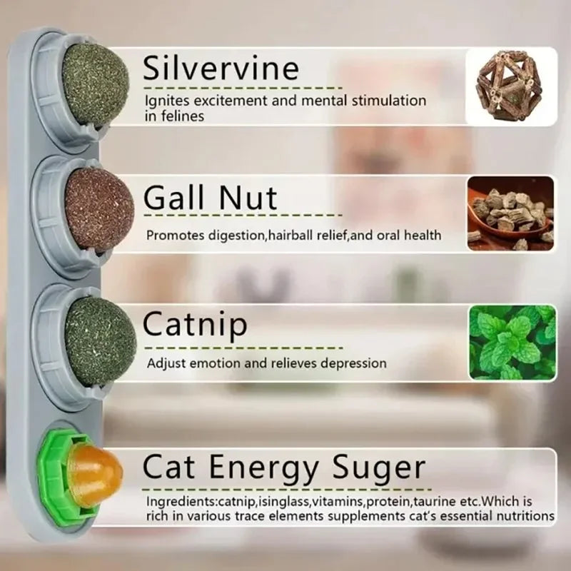 Catnip & Silver Vine Wall Ball for Cats