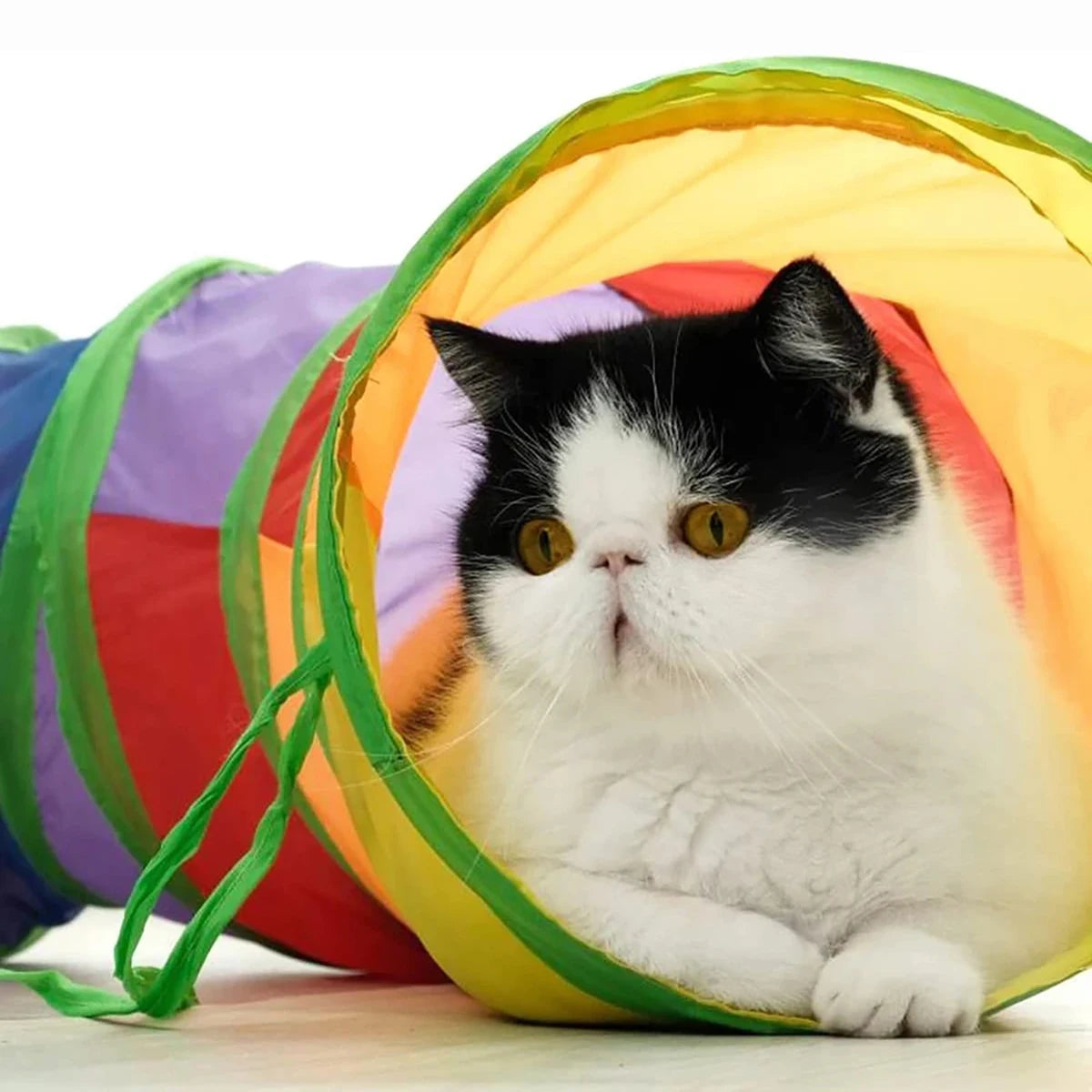 Foldable Cat Play Tunnel with Hanging Ball