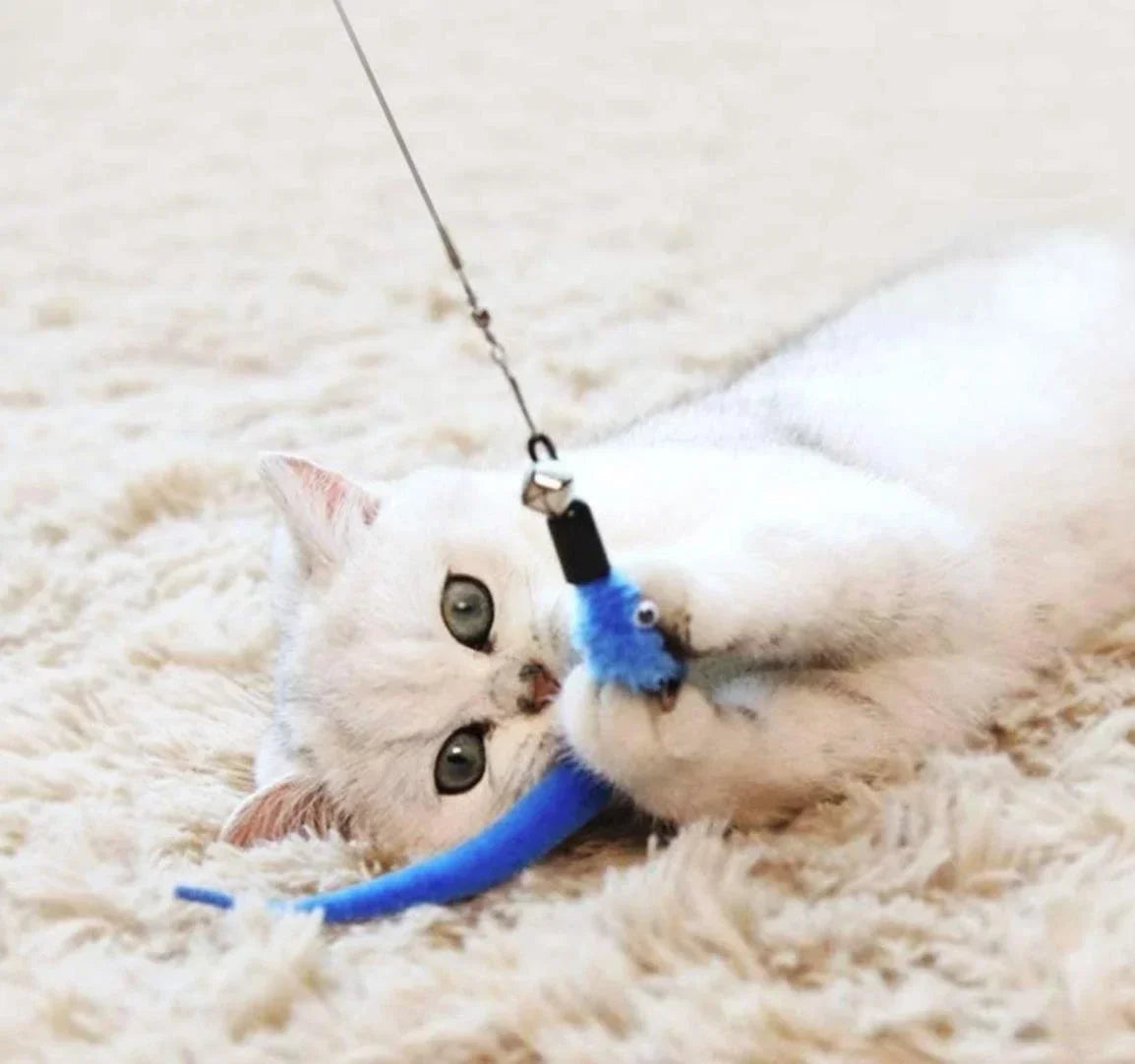 Cat Feather Wand Toy Set – Retractable Wand + 10 Heads
