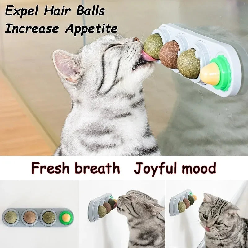 Catnip & Silver Vine Wall Ball for Cats