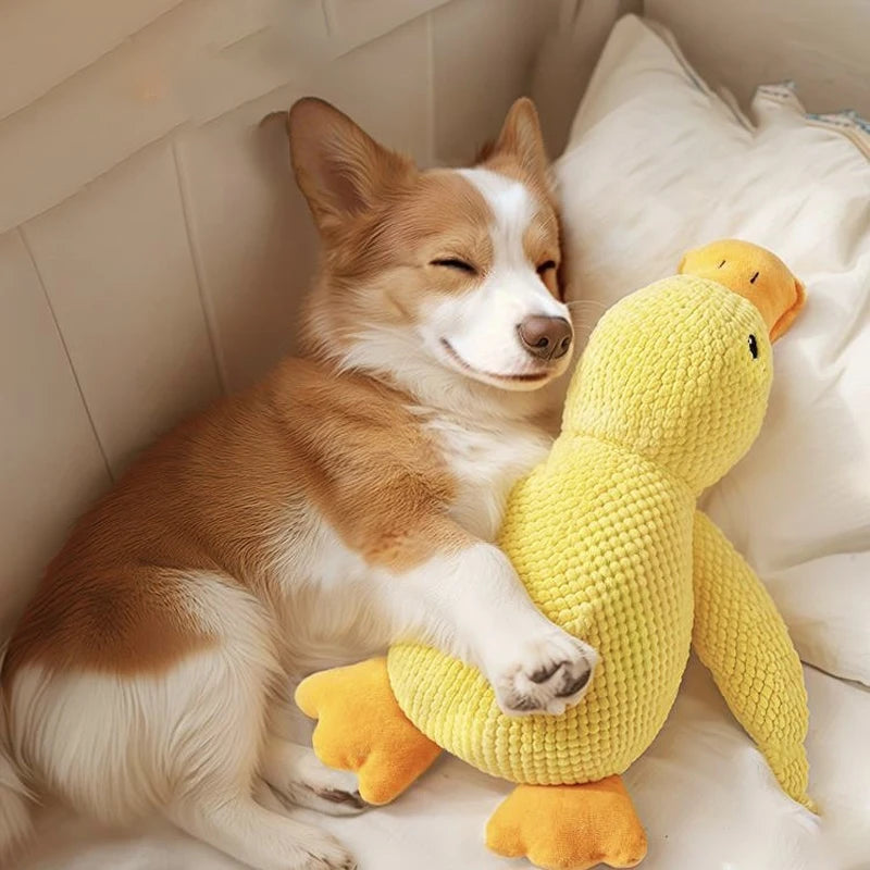 Squeaky Duck Plush Toy for Dogs & Cats